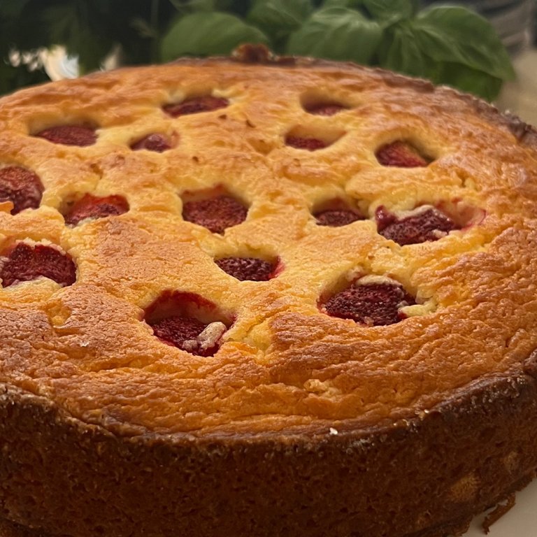 Ricotta Cake