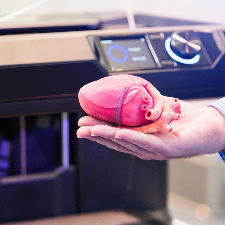 3D printed heart