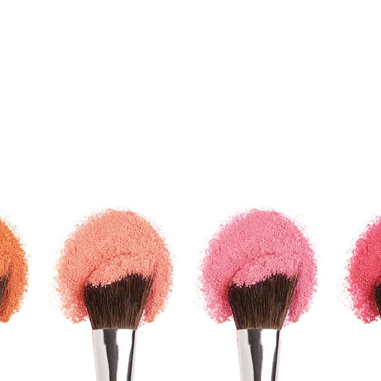 Blush brushes