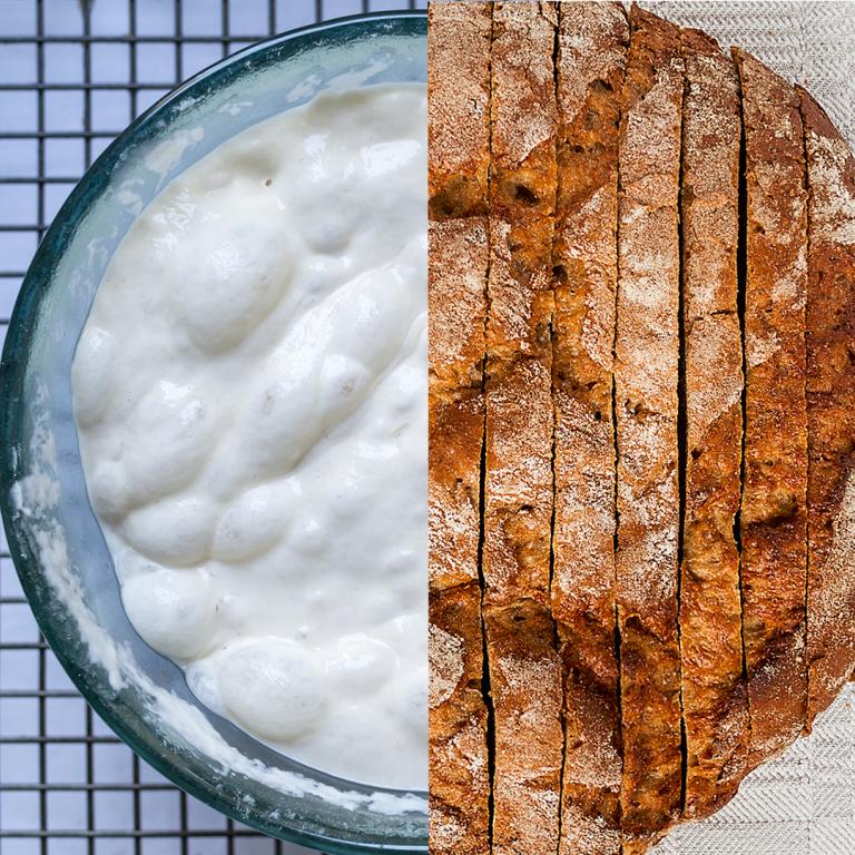 yeast starter and finished bread side by side