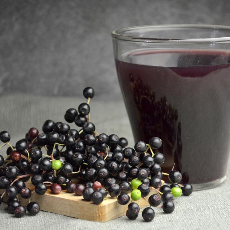 elderberry syrup