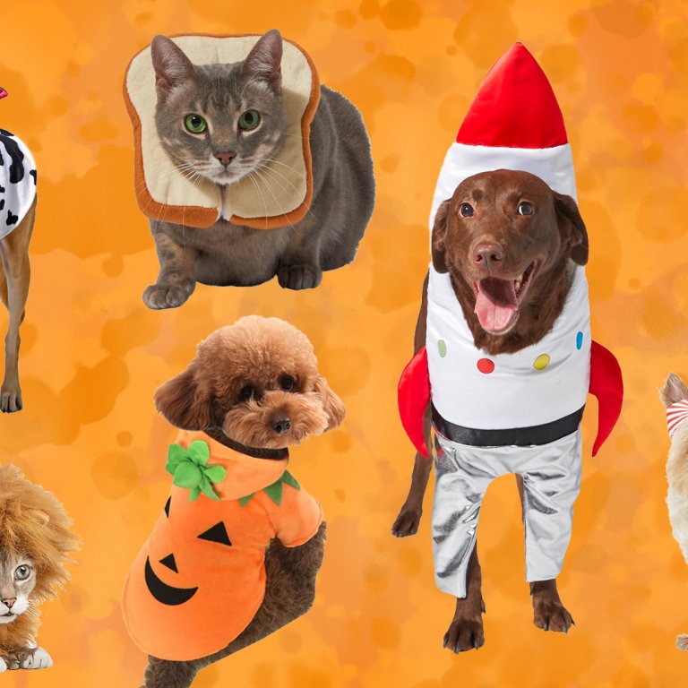 pet costumes