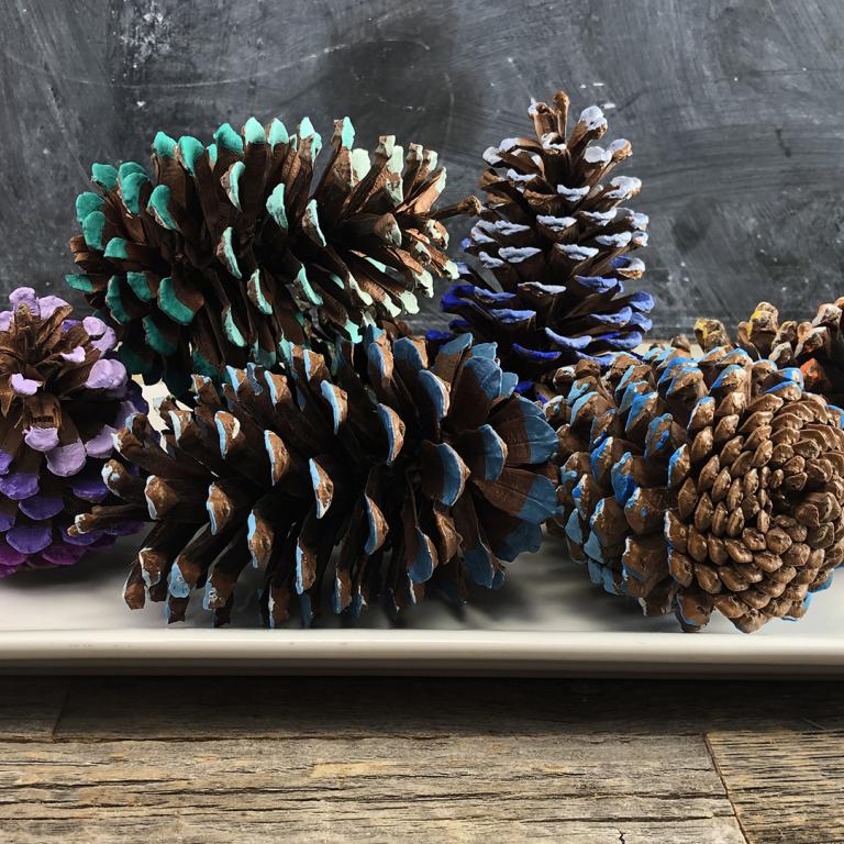 ombre pine cones