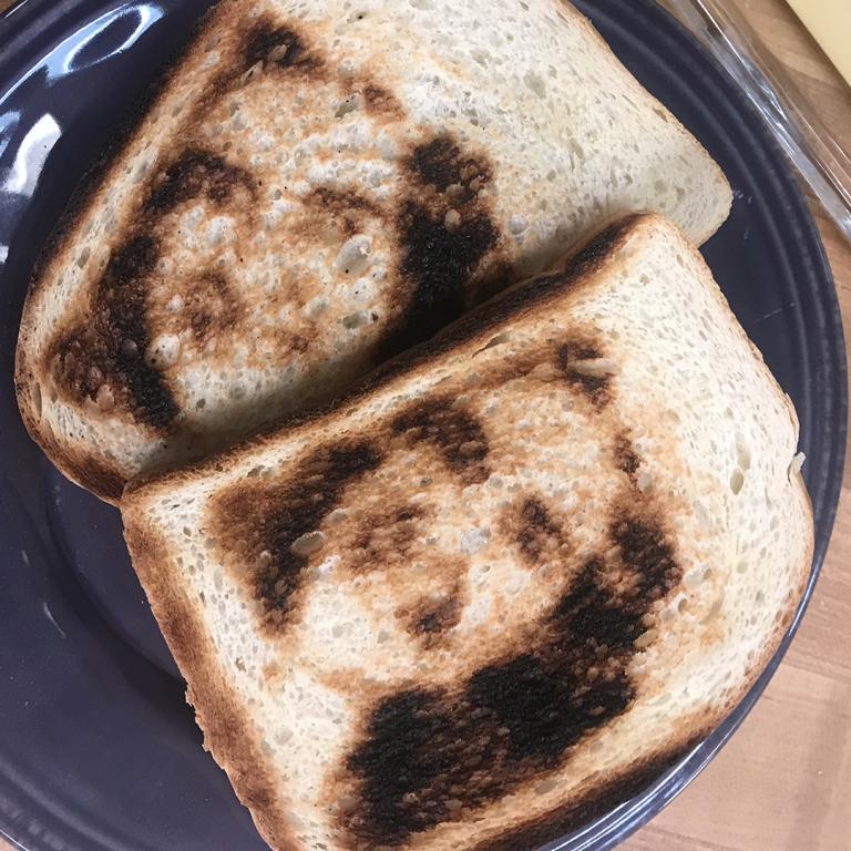 selfie toast